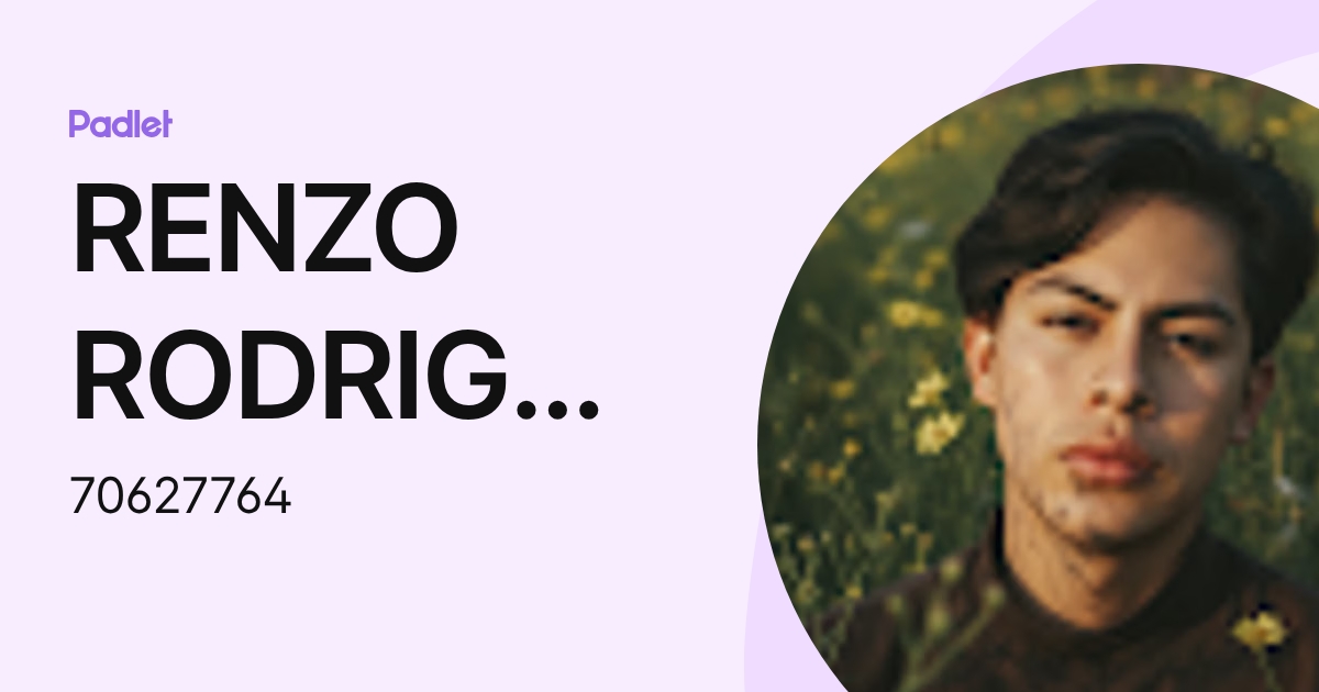RENZO RODRIGO COLLAZOS TORRES (70627764) profile | Padlet
