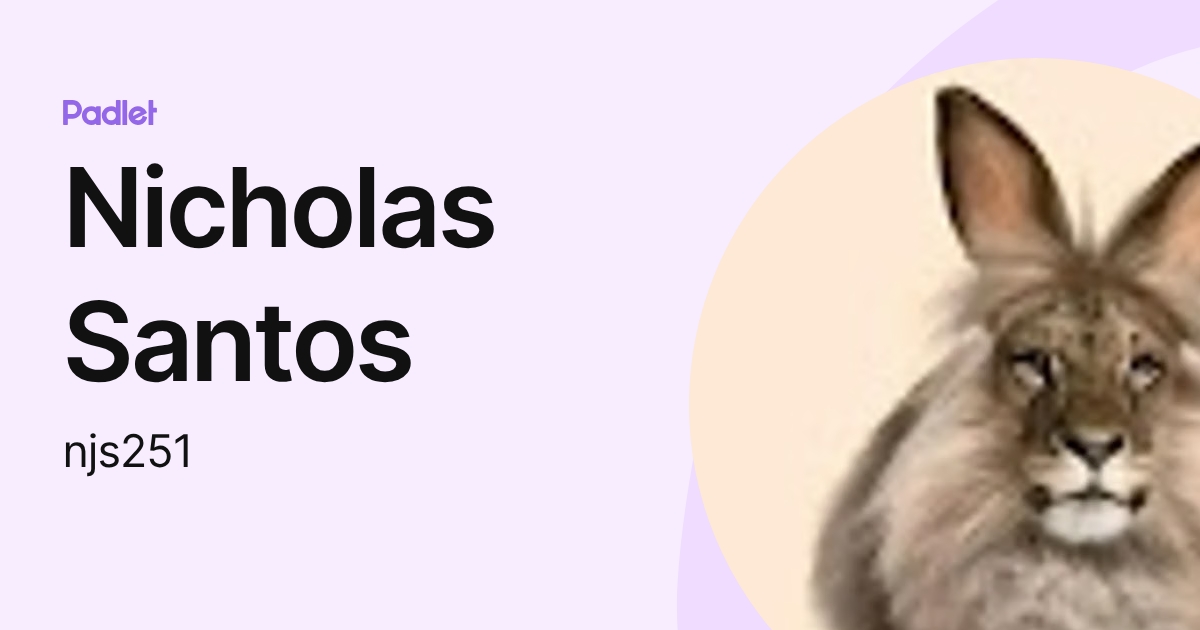 Nicholas Santos (njs251) profile | Padlet