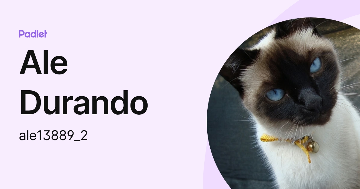 Ale Durando (ale13889_2) profile | Padlet