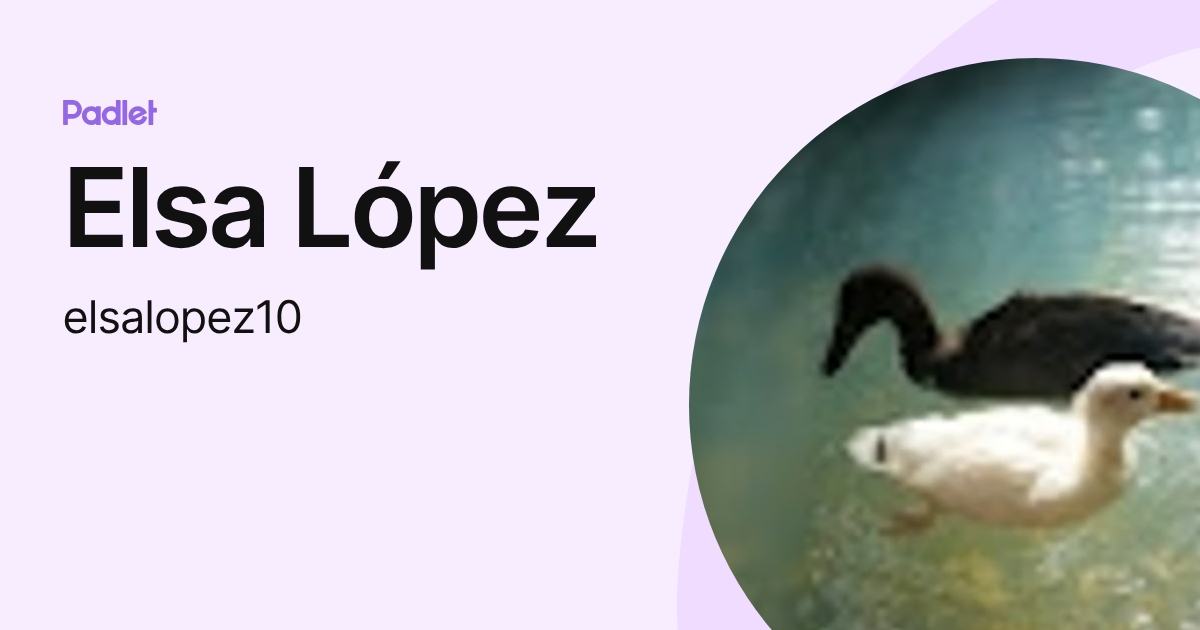 Elsa López (elsalopez10) profile | Padlet