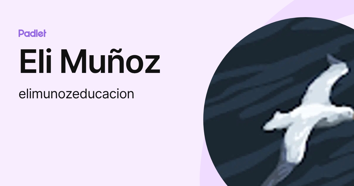Eli Muñoz (elimunozeducacion) profile | Padlet
