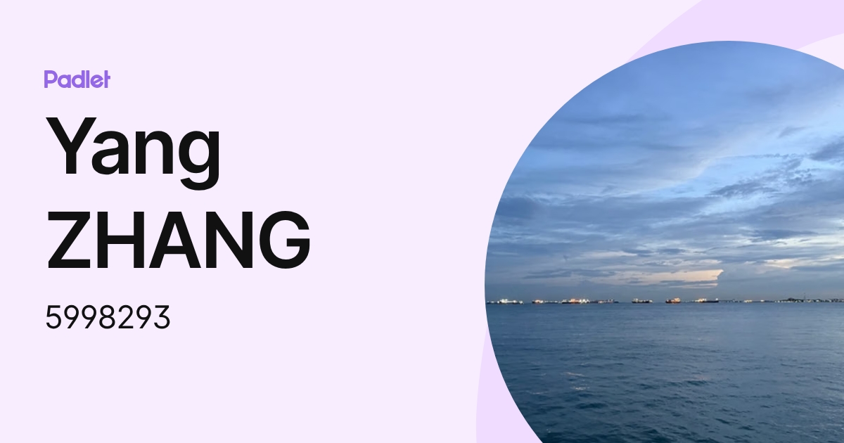 Yang ZHANG (5998293) profile | Padlet