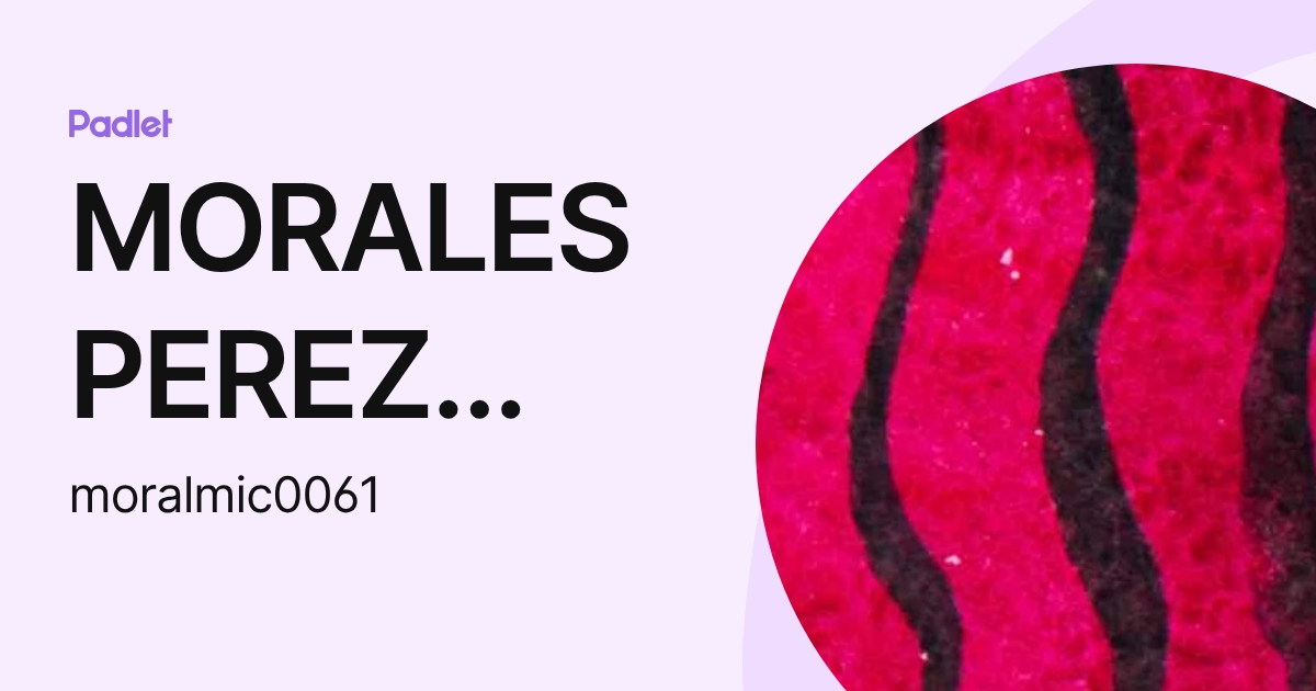 MORALES PEREZ MICHELLE (moralmic0061) profile | Padlet