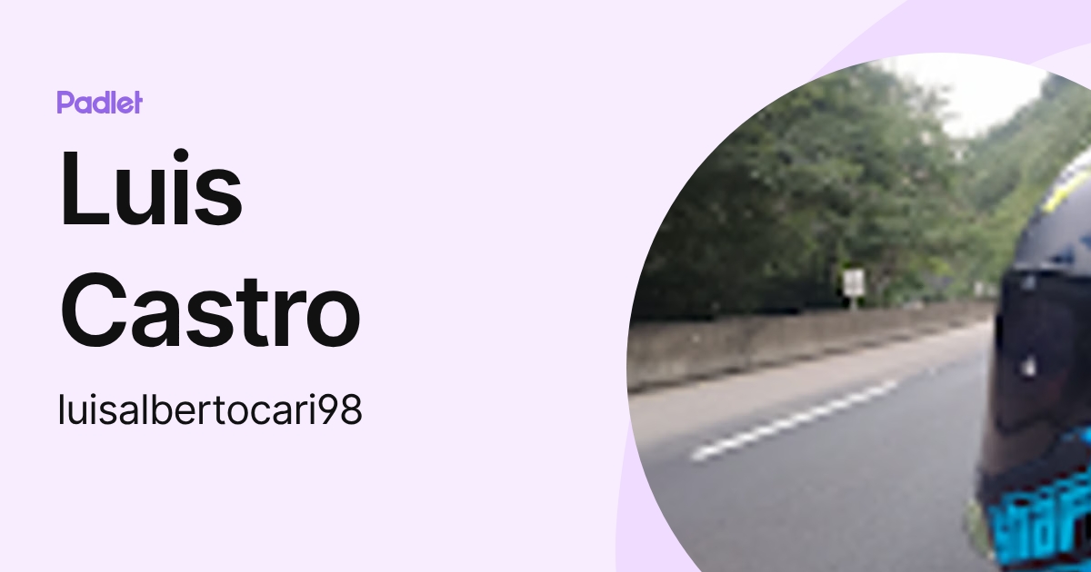 Luis Castro (luisalbertocari98) profile | Padlet
