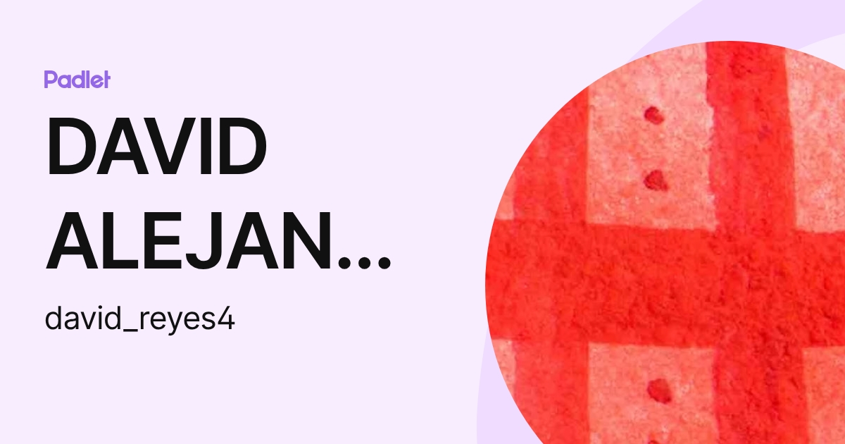 DAVID ALEJANDRO REYES AGUIGUREMS (david_reyes4) profile | Padlet
