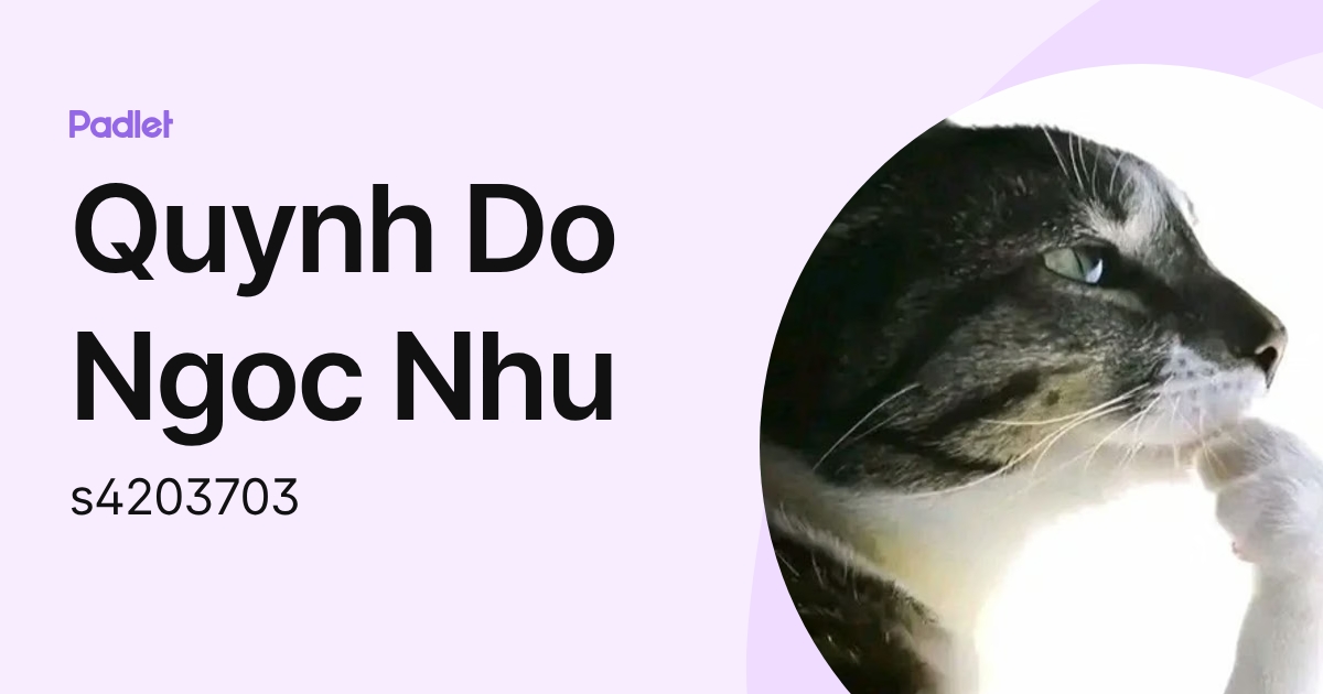 Quynh Do Ngoc Nhu (s4203703) profile | Padlet