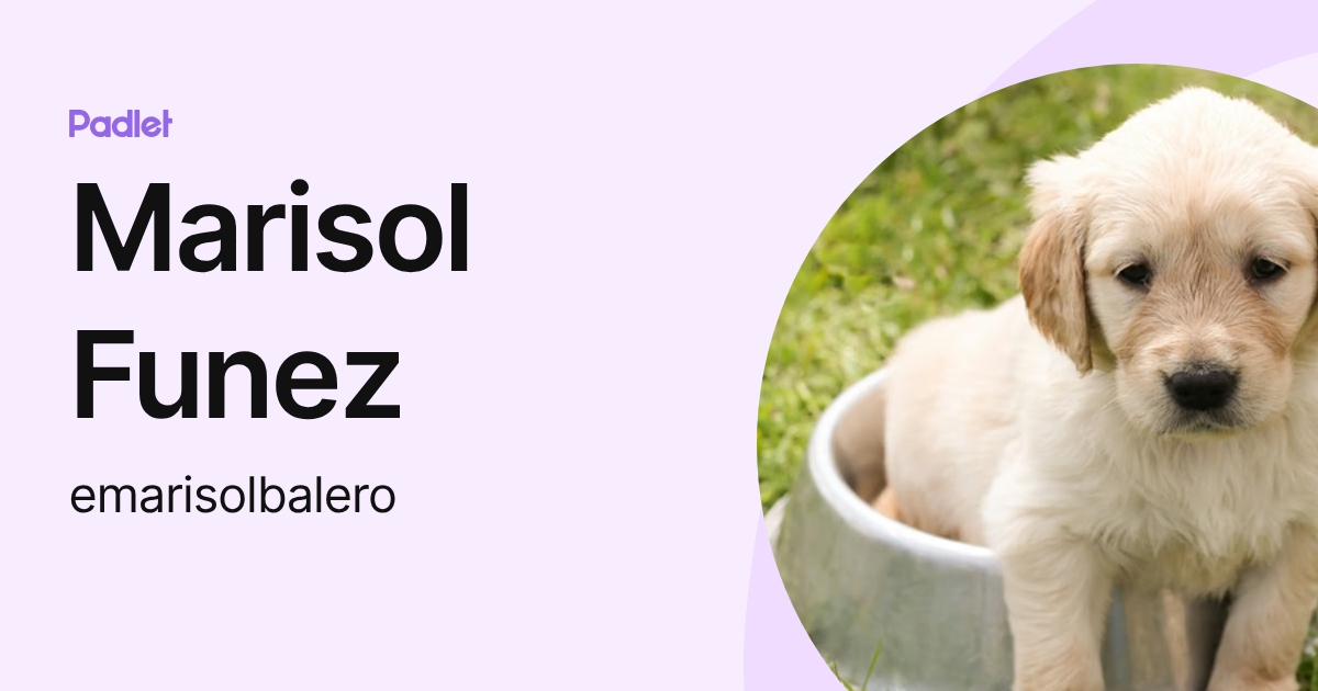 Marisol Funez (emarisolbalero) profile | Padlet