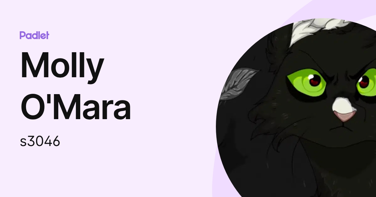 Molly O'Mara (s3046) profile | Padlet