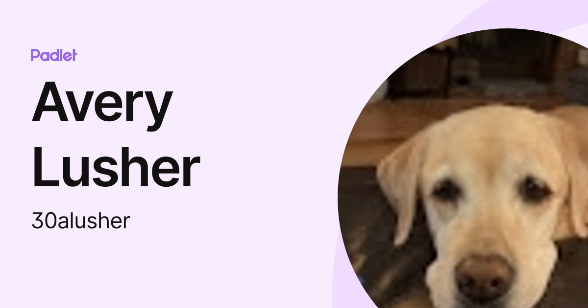 Avery Lusher (30alusher) profile | Padlet