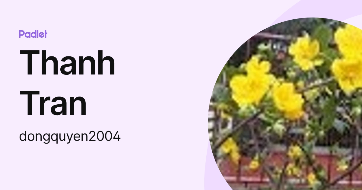 Thanh Tran (dongquyen2004) profile | Padlet