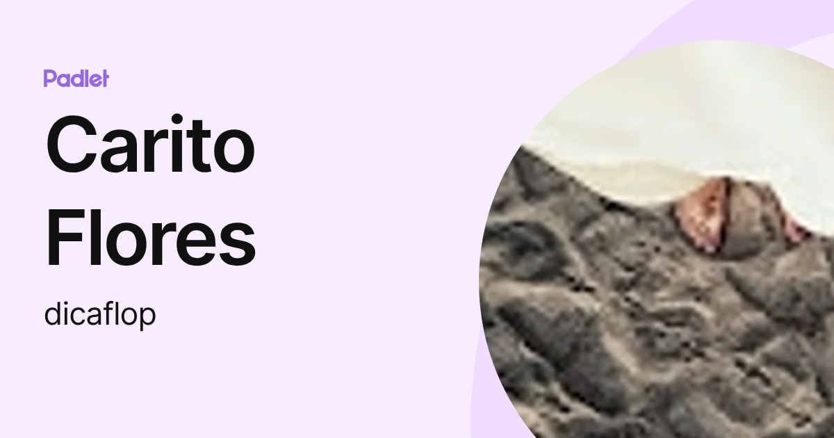 Carito Flores (dicaflop) profile | Padlet