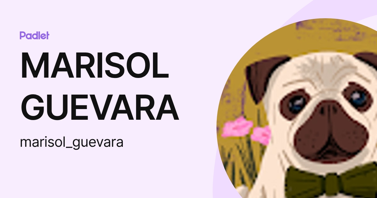 MARISOL GUEVARA (marisol_guevara) profile | Padlet