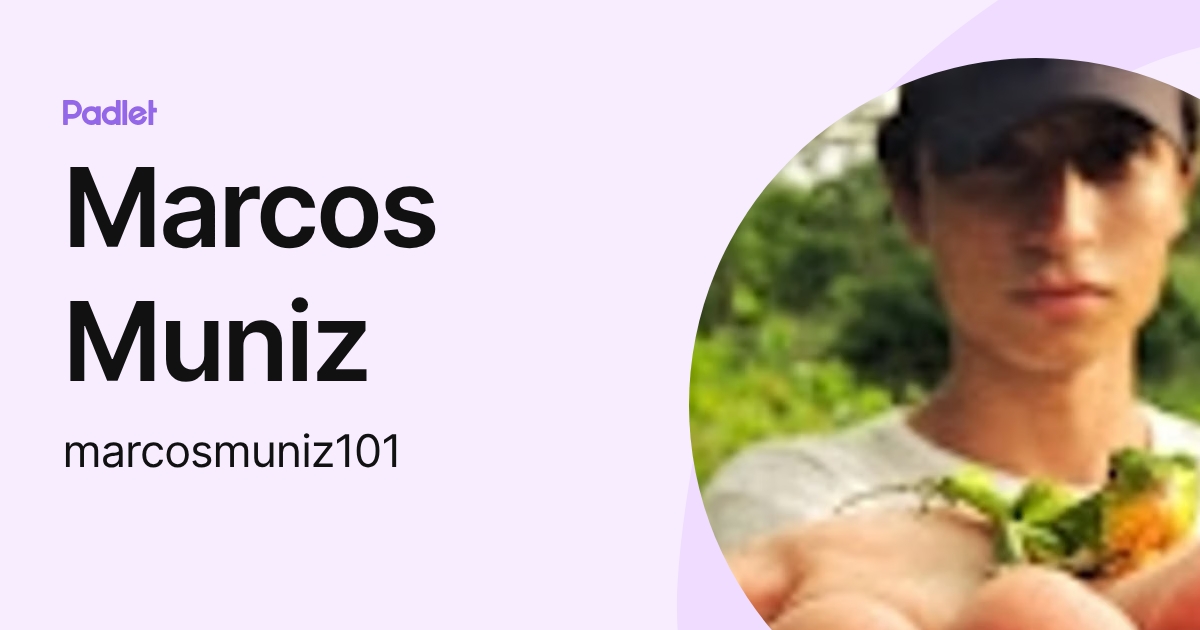 Marcos Muniz (marcosmuniz101) profile | Padlet