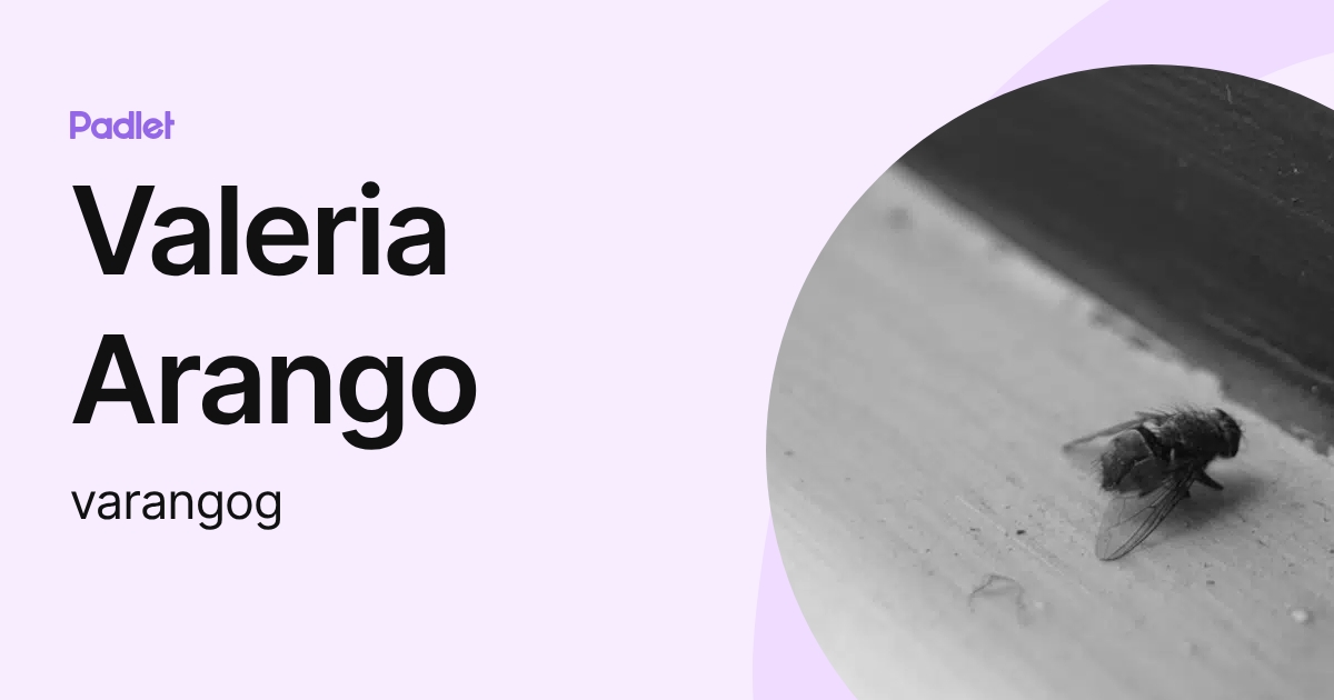 Valeria Arango (varangog) profile | Padlet