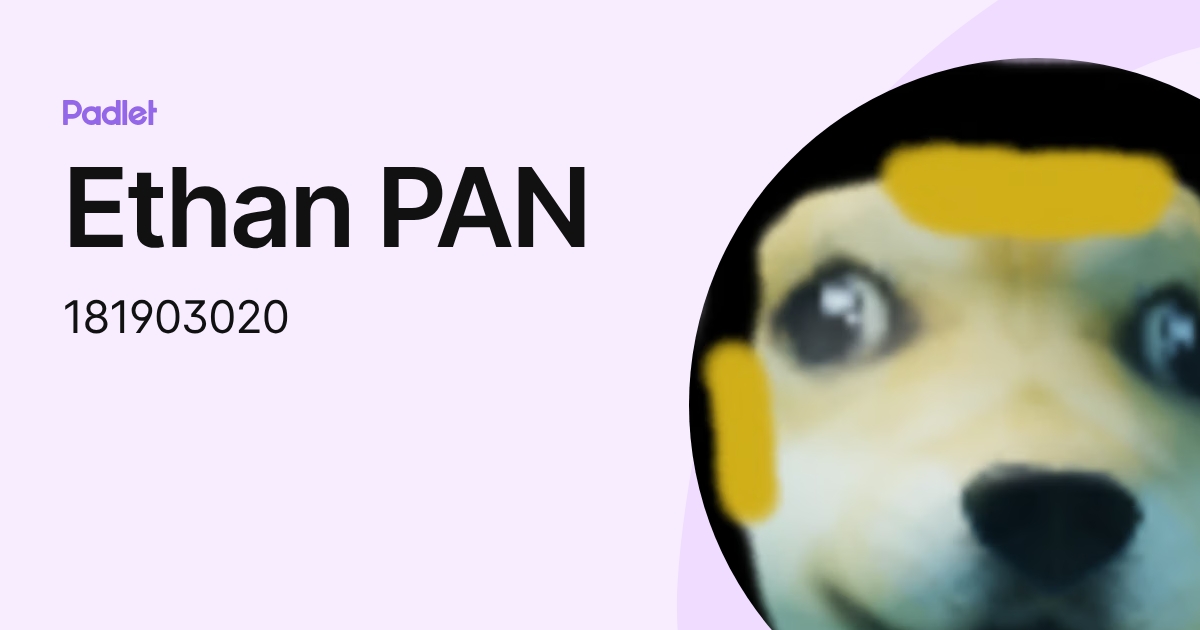 Ethan PAN (181903020) profile | Padlet