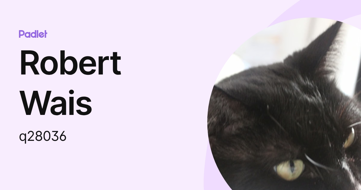 Robert Wais (q28036) profile | Padlet
