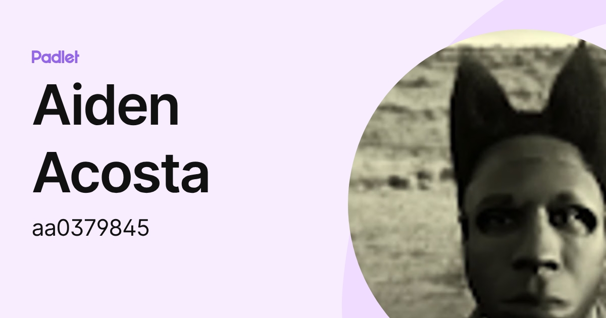 Aiden Acosta (aa0379845) profile | Padlet
