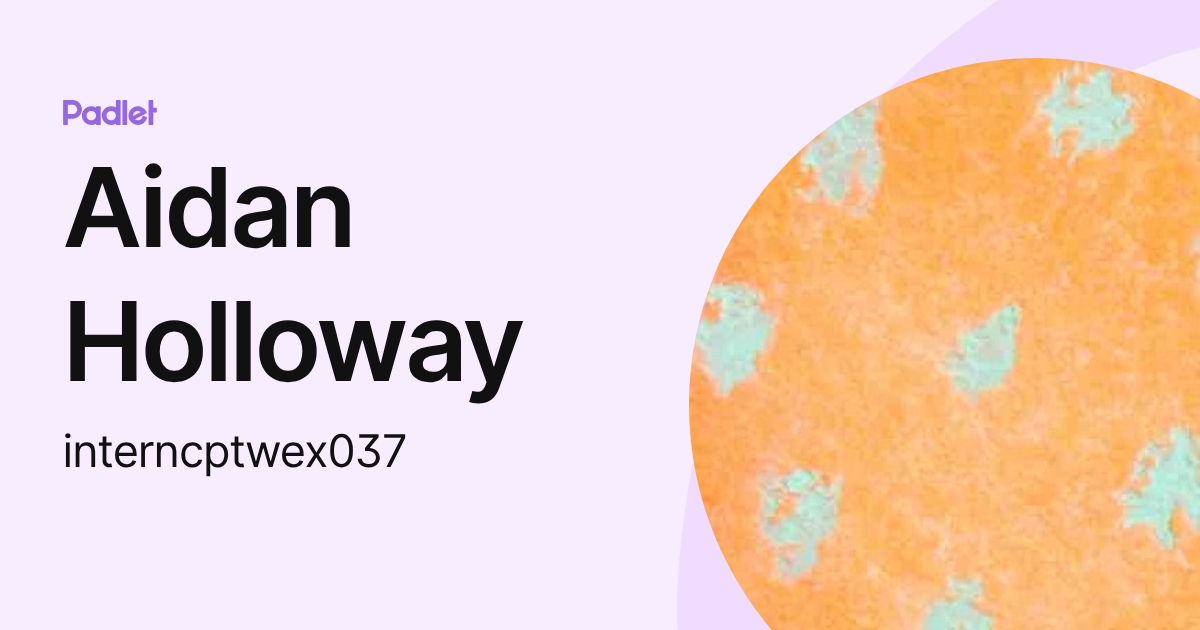 Aidan Holloway (interncptwex037) profile | Padlet
