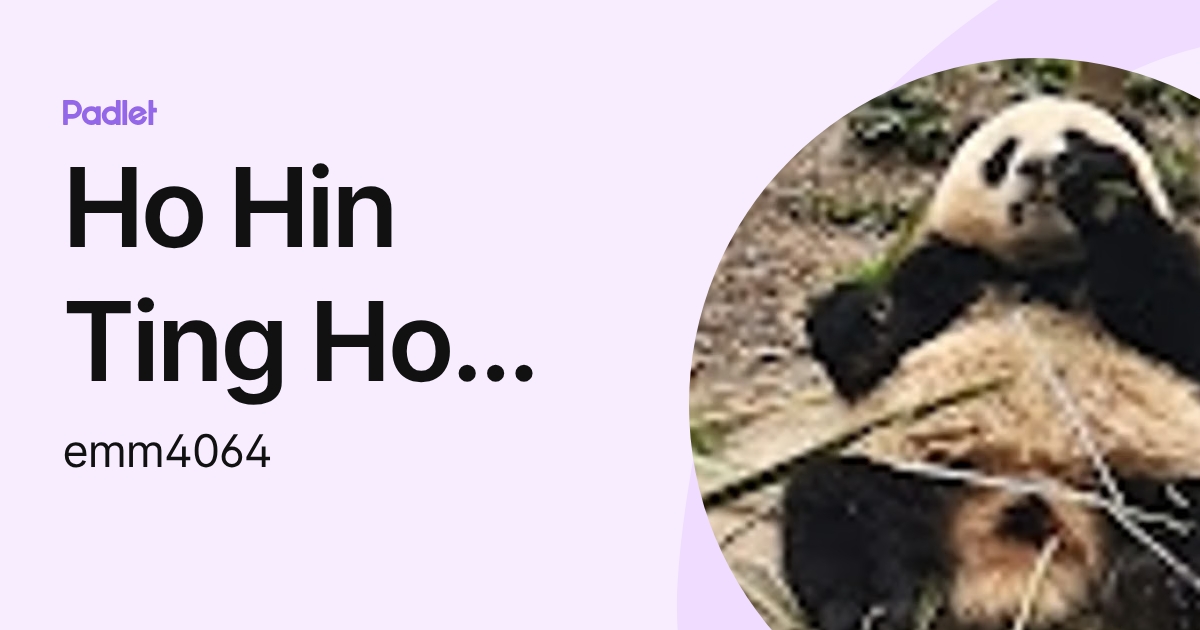 Ho Hin Ting Ho Hin Ting (emm4064) profile | Padlet