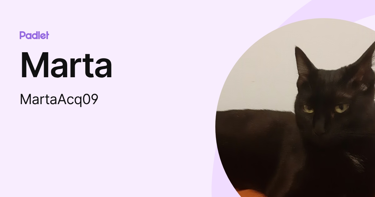 Marta (MartaAcq09) profile | Padlet