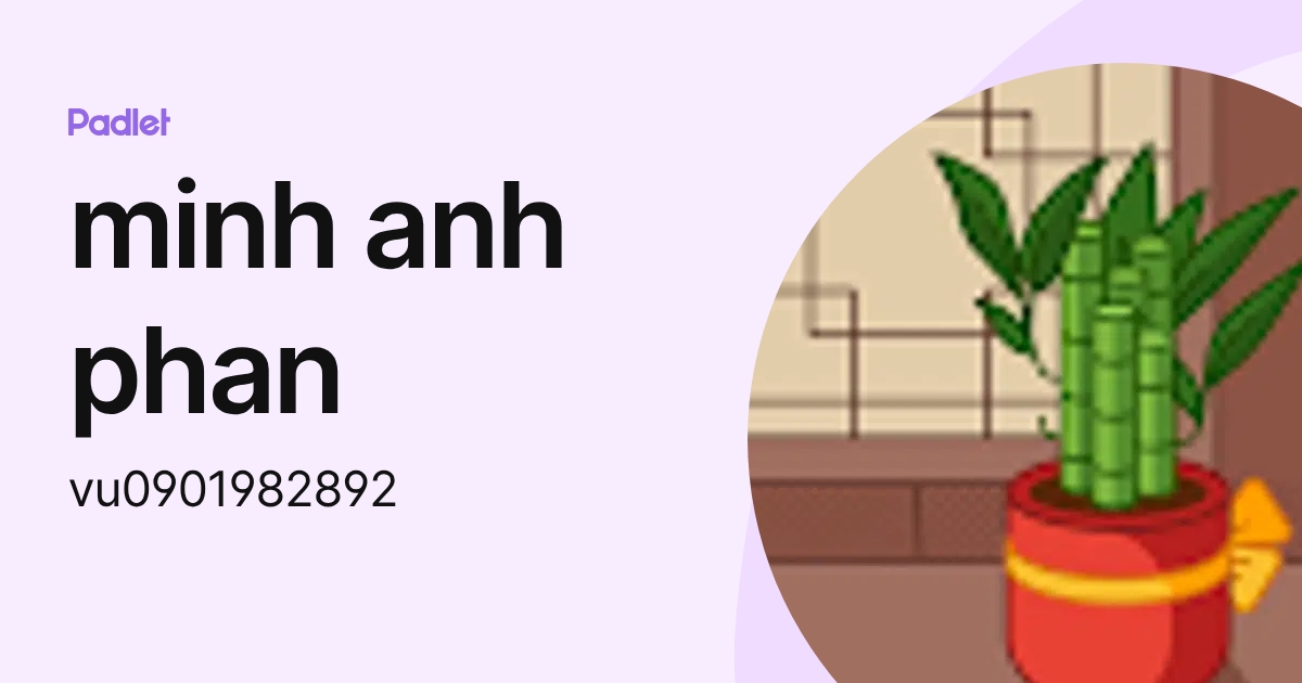 minh anh phan (vu0901982892) profile | Padlet