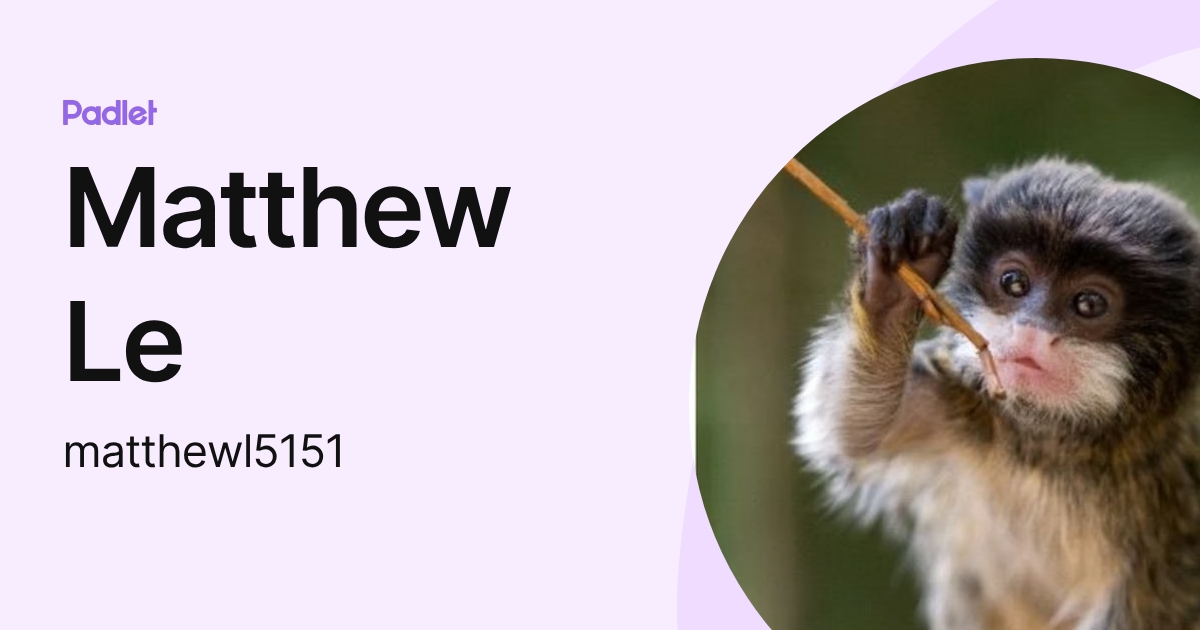 Matthew Le (matthewl5151) profile | Padlet