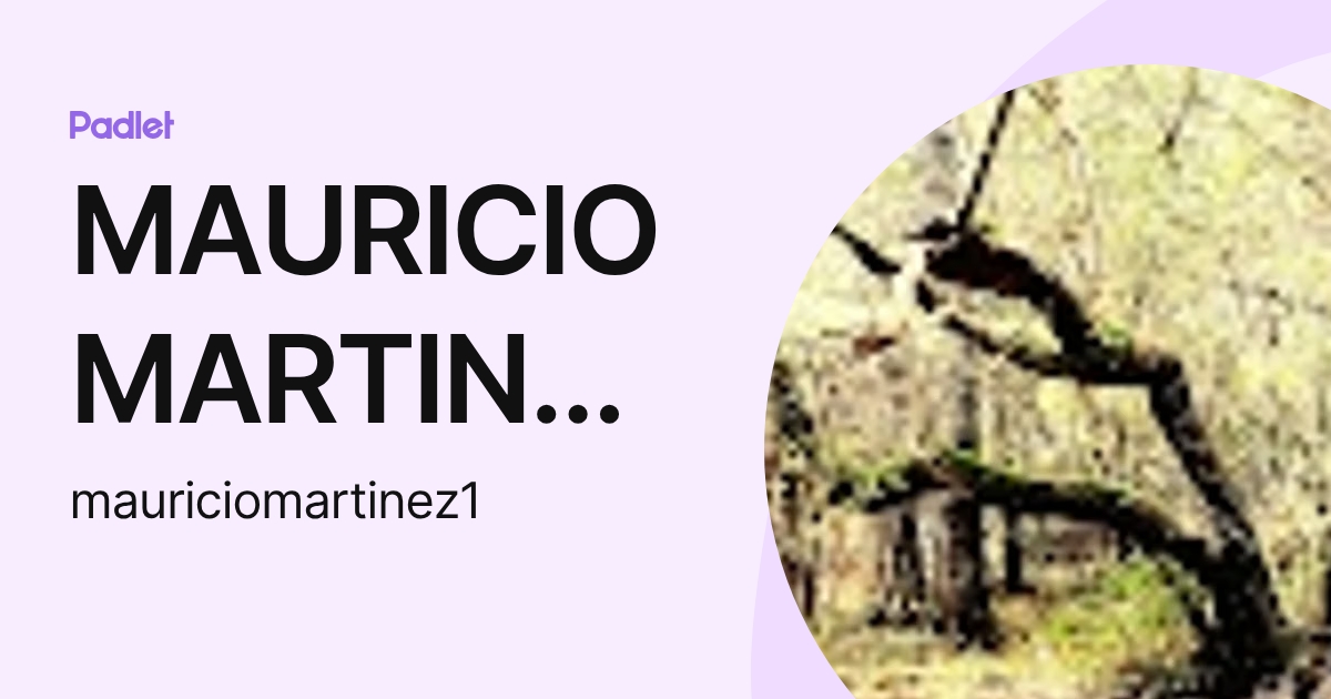 MAURICIO MARTINEZ ORTEGA (mauriciomartinez1) profile | Padlet