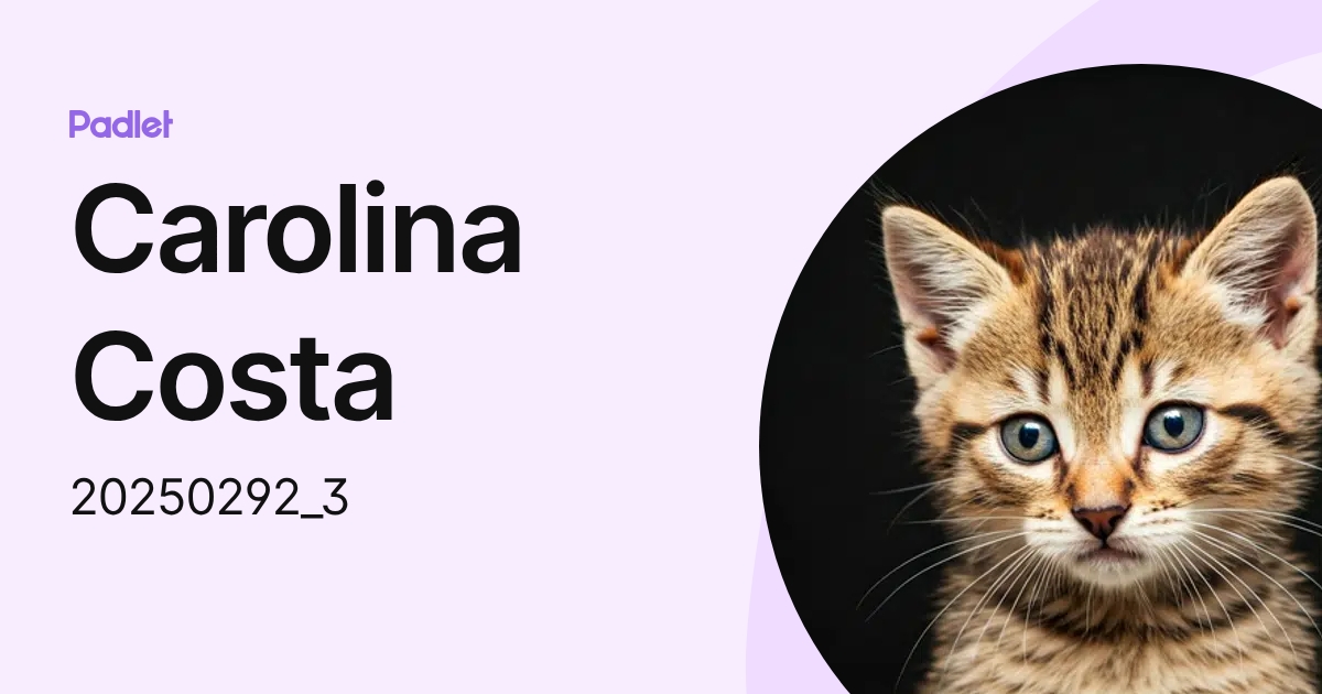 Carolina Costa (20250292_3) profile | Padlet