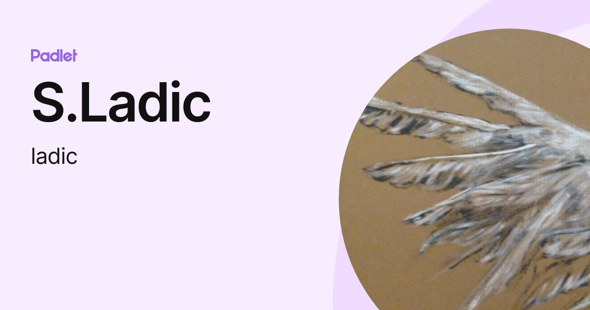 S.Ladic (ladic) profile | Padlet