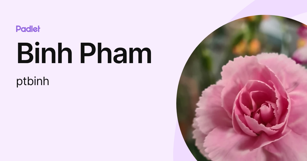 Binh Pham (ptbinh) profile | Padlet