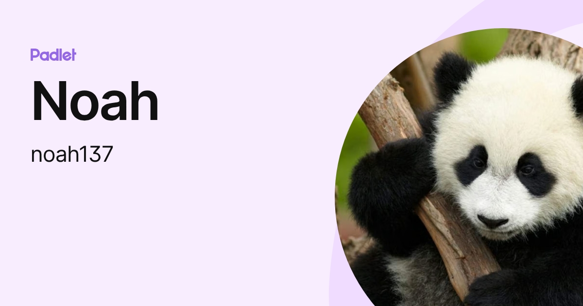 Noah (noah137) profile | Padlet