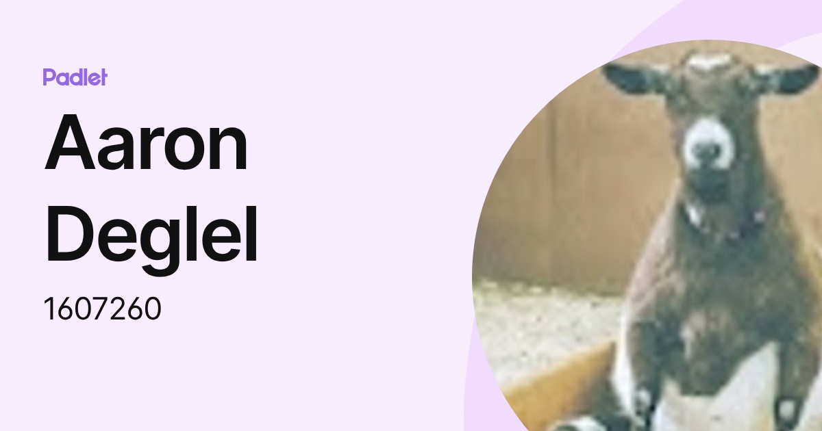Aaron Deglel (1607260) profile | Padlet