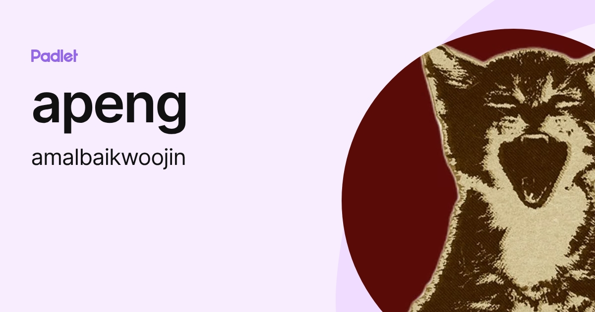 apeng (amalbaikwoojin) profile | Padlet