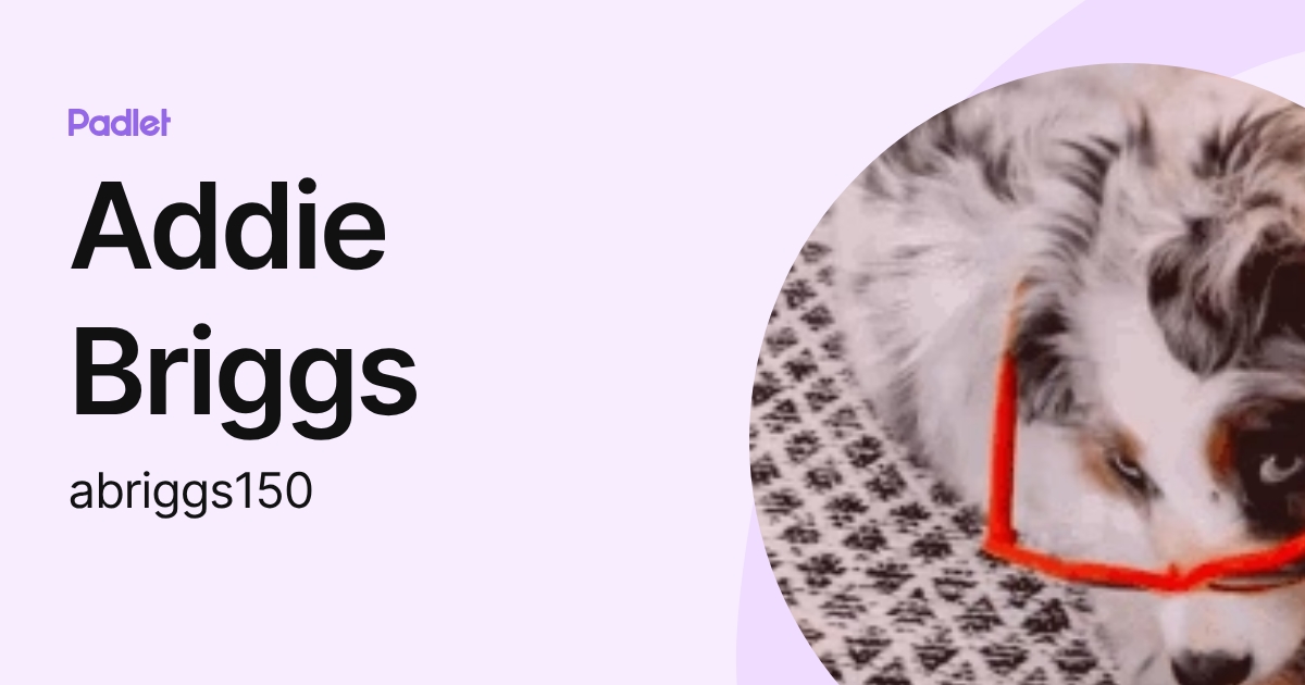 Addie Briggs (abriggs150) profile | Padlet