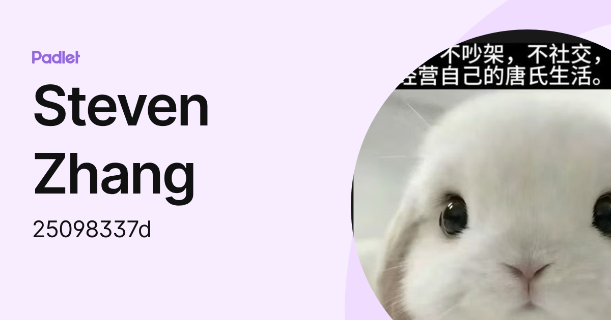 Steven Zhang (25098337d) profile | Padlet