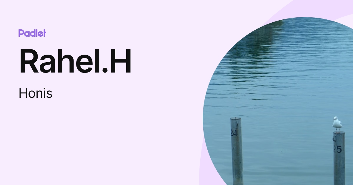 Rahel.H (Honis) profile | Padlet
