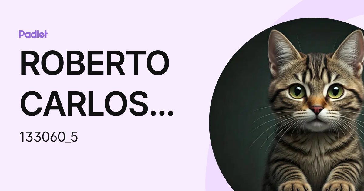ROBERTO CARLOS ALDAPE JIMENEZ (133060_5) profile | Padlet