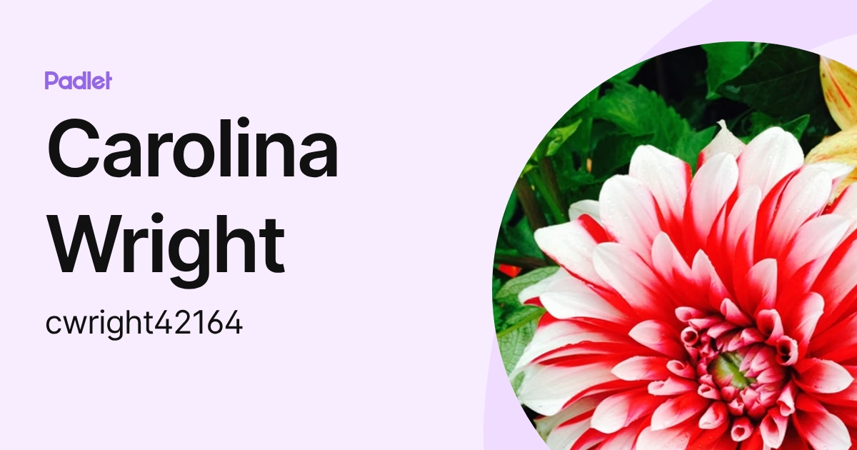 Carolina Wright (cwright42164) profile | Padlet