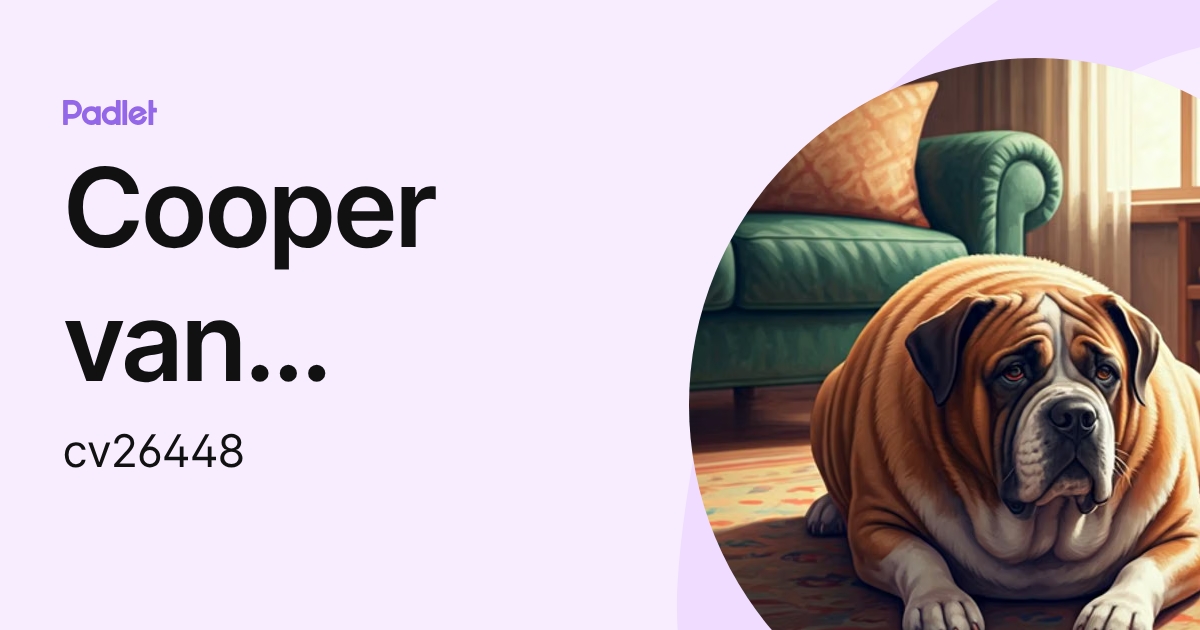 Cooper van Jaarsveld (cv26448) profile | Padlet