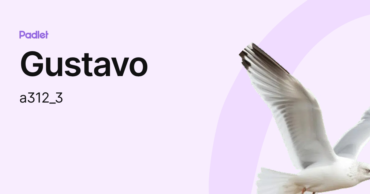 Gustavo (a312_3) profile | Padlet