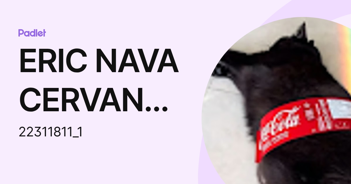 ERIC NAVA CERVANTES (22311811_1) profile | Padlet
