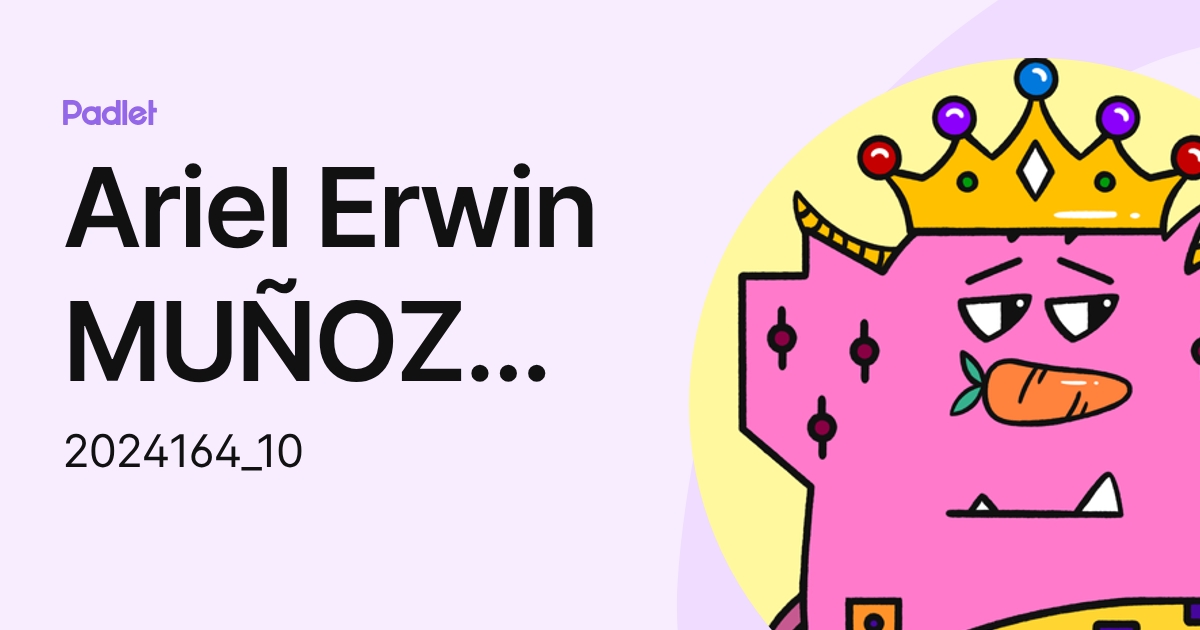 Ariel Erwin MUÑOZ MEZA (2024164_10) profile | Padlet
