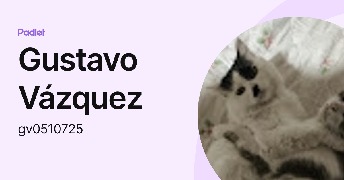 Gustavo Vázquez (gv0510725) profile | Padlet