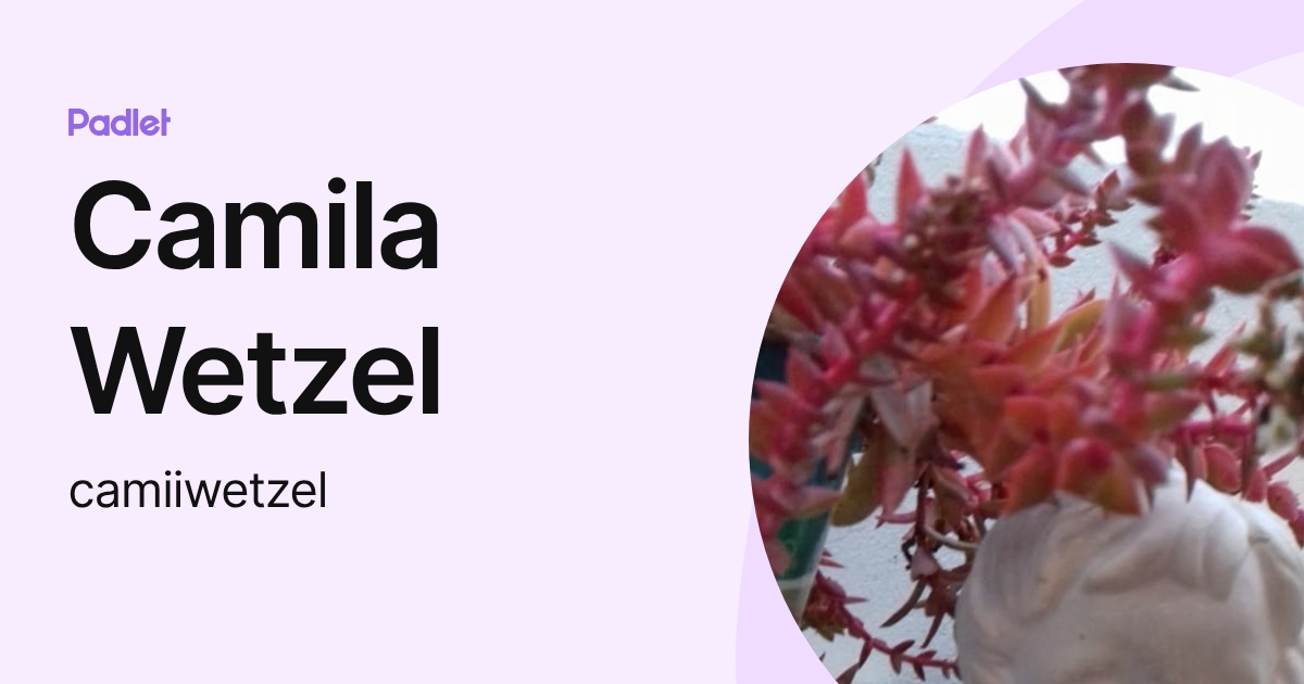 Camila Wetzel (camiiwetzel) profile | Padlet