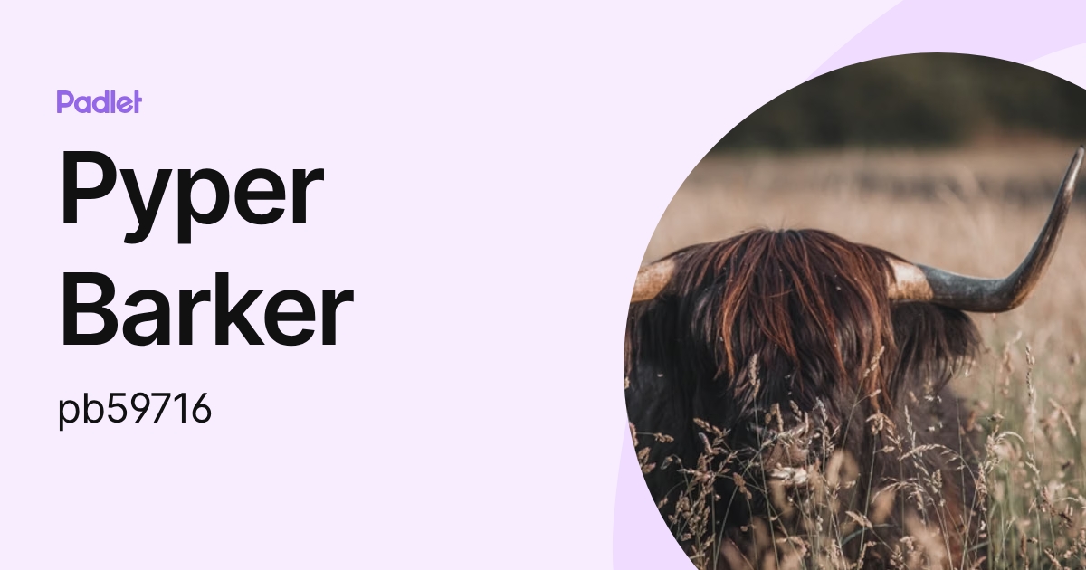 Pyper Barker (pb59716) profile | Padlet