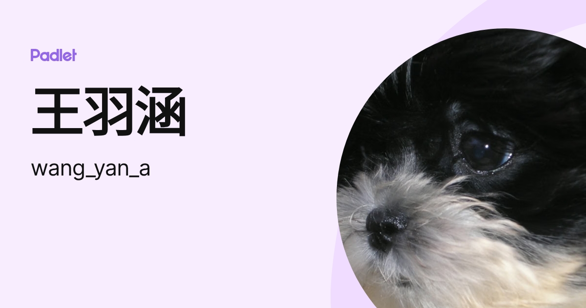 王羽涵 (wang_yan_a) profile | Padlet
