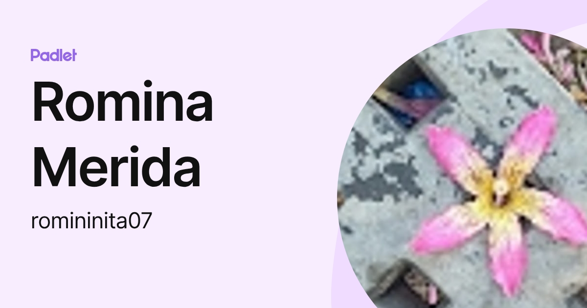 Romina Merida (romininita07) profile | Padlet