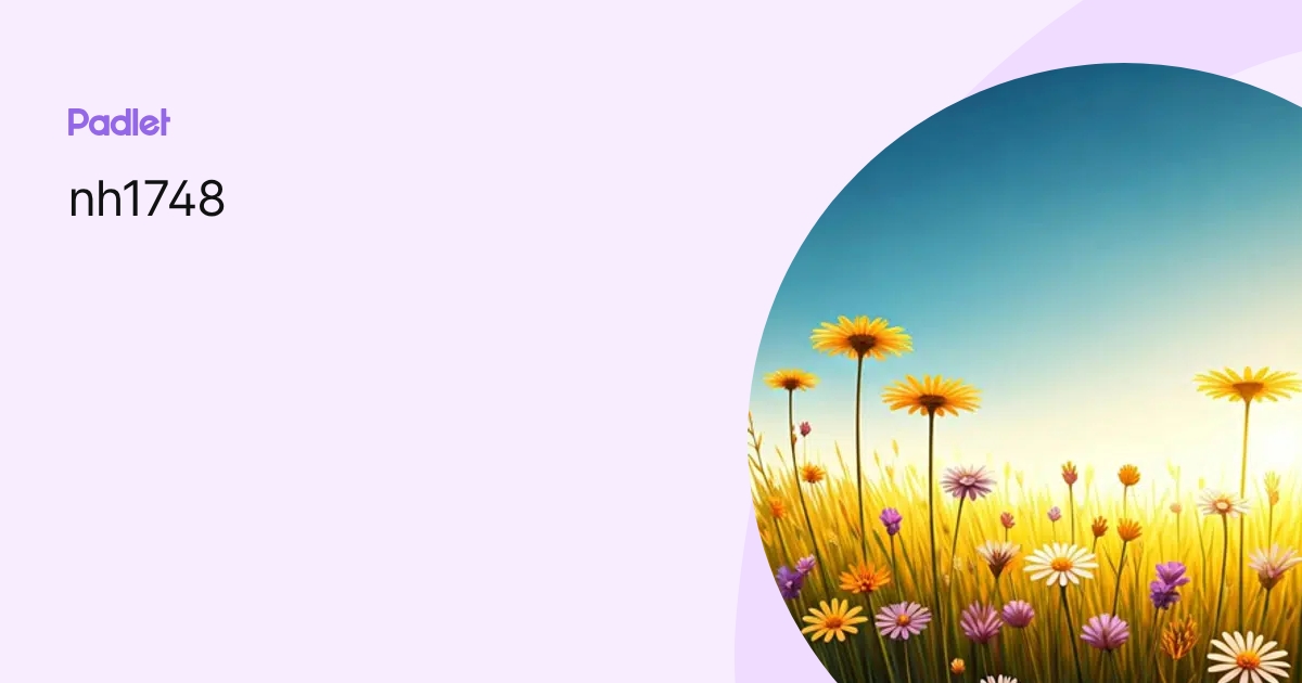 nh1748 profile | Padlet