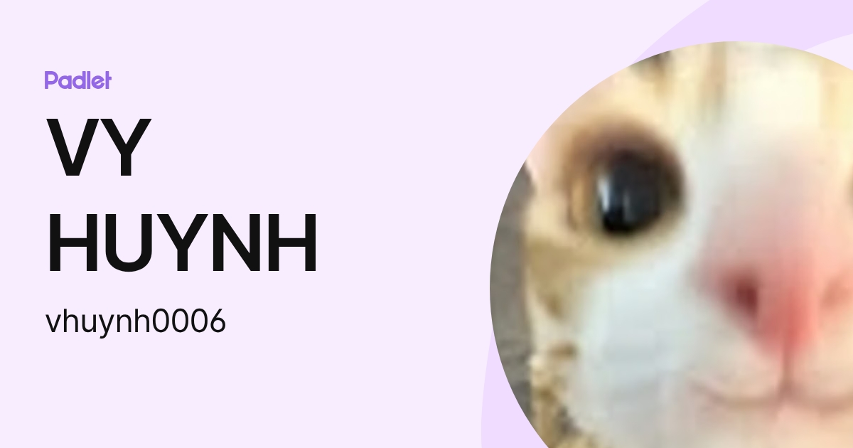VY HUYNH (vhuynh0006) profile | Padlet