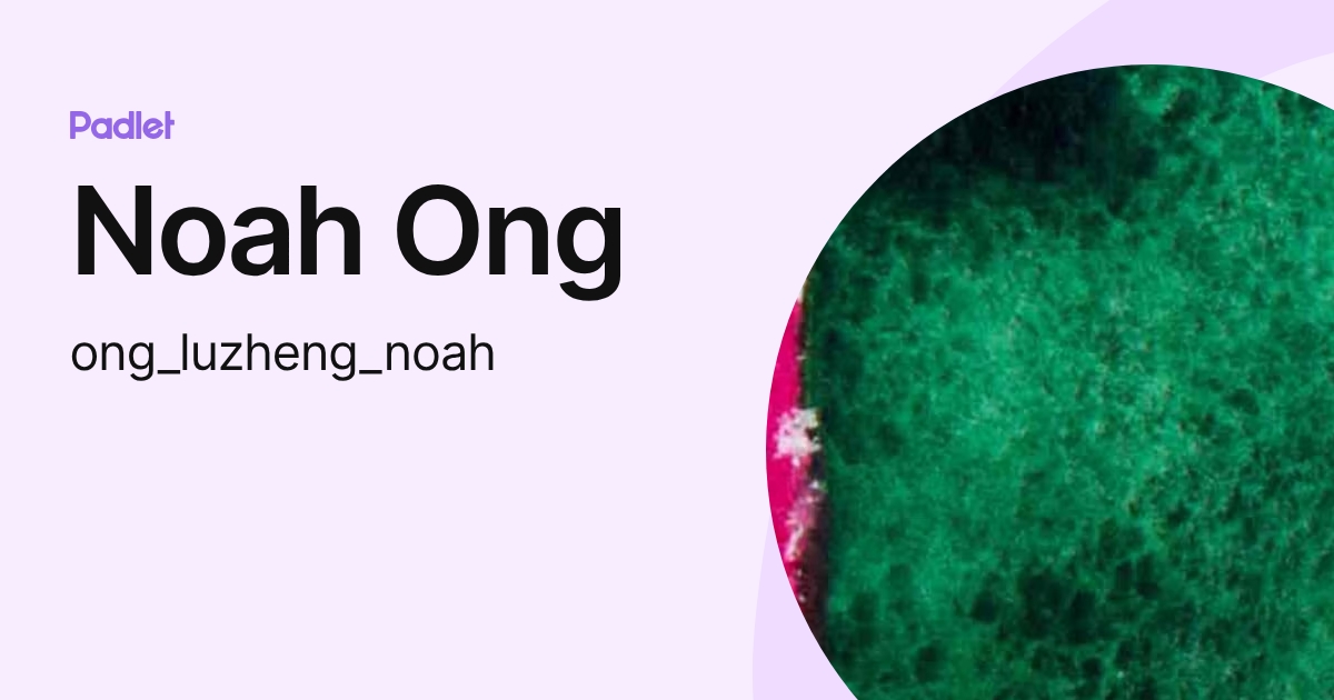 Noah Ong (ong_luzheng_noah) profile | Padlet